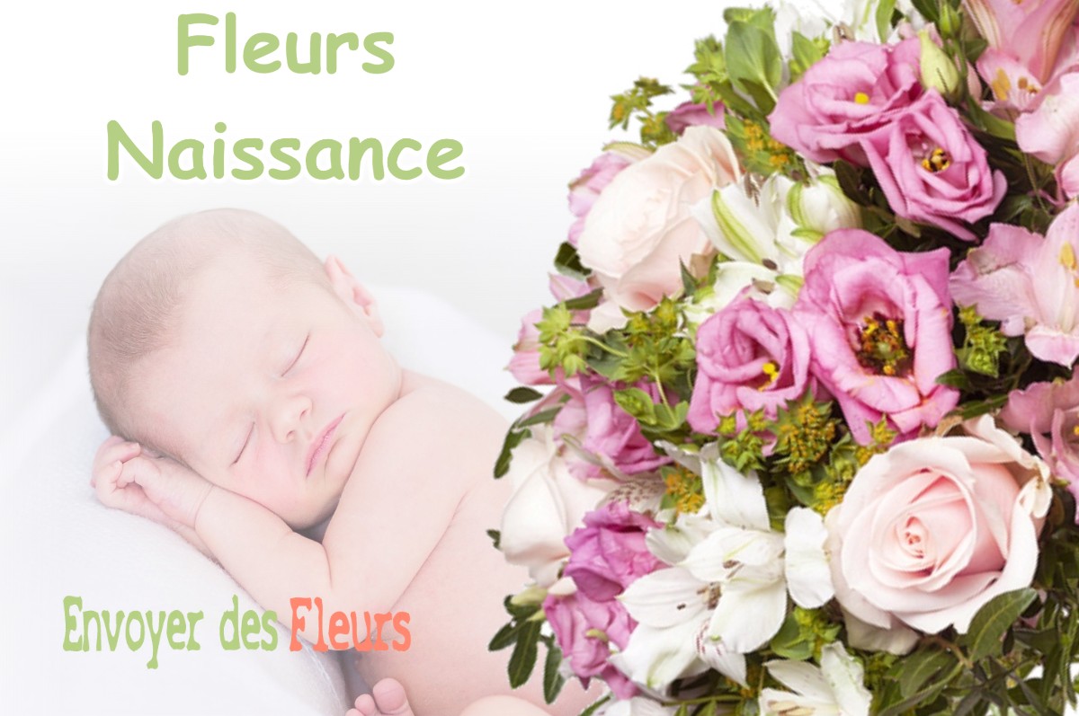 lIVRAISON FLEURS NAISSANCE à MASSIEU